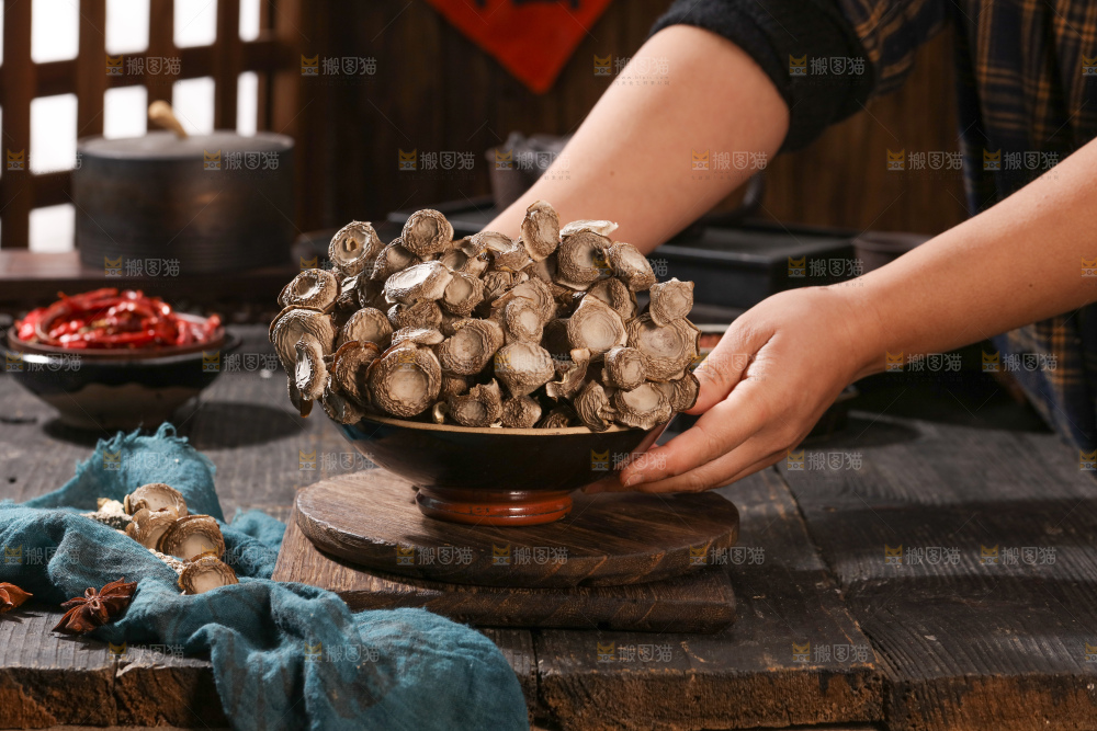 鹿茸菇