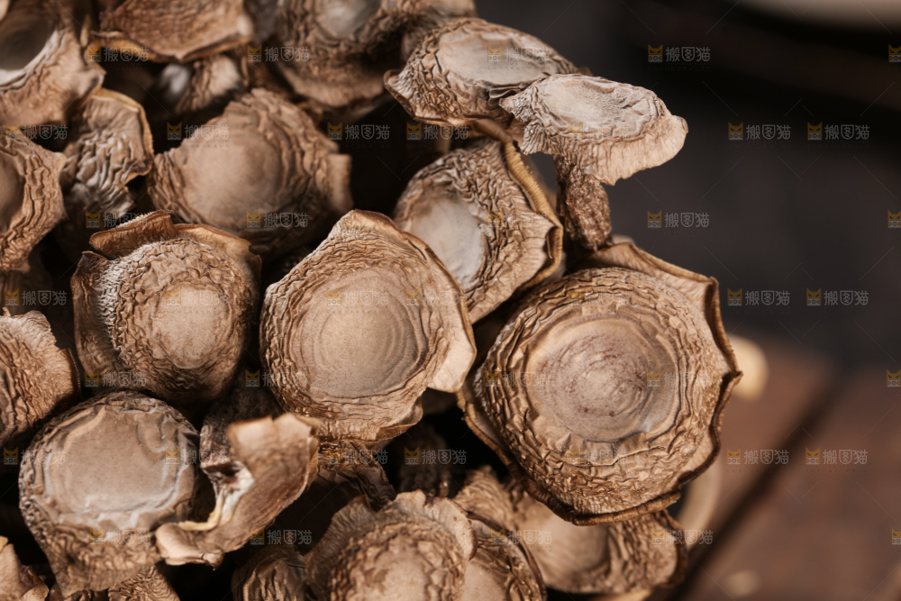 鹿茸菇