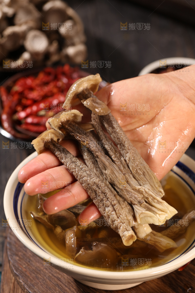 鹿茸菇
