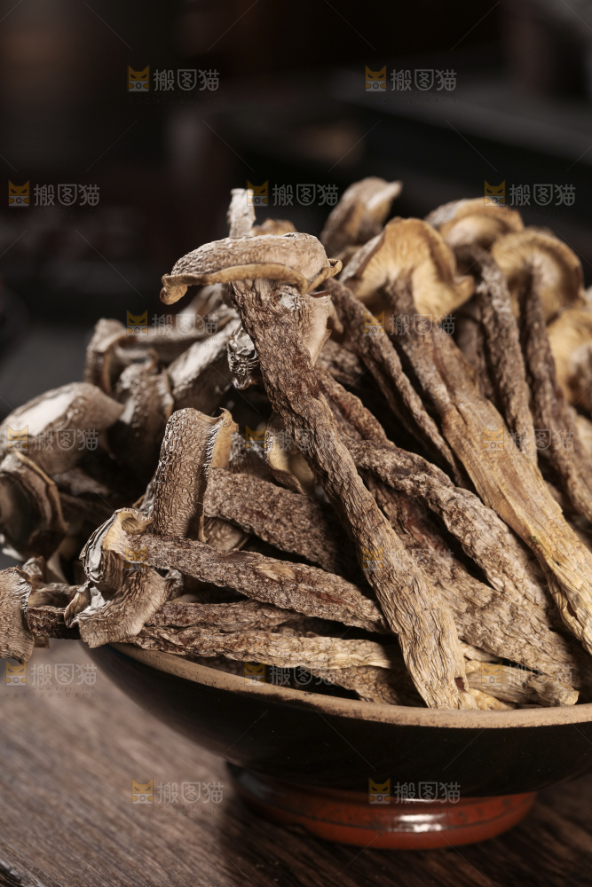鹿茸菇