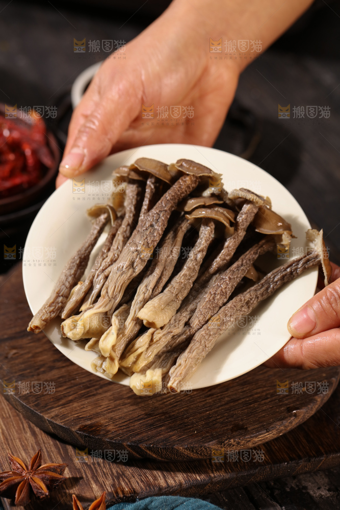 鹿茸菇