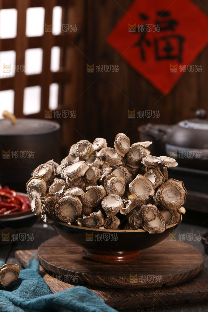 鹿茸菇
