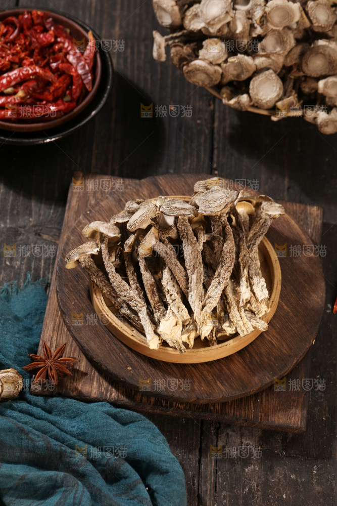 鹿茸菇