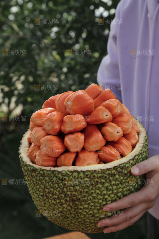 印尼红肉菠萝蜜
