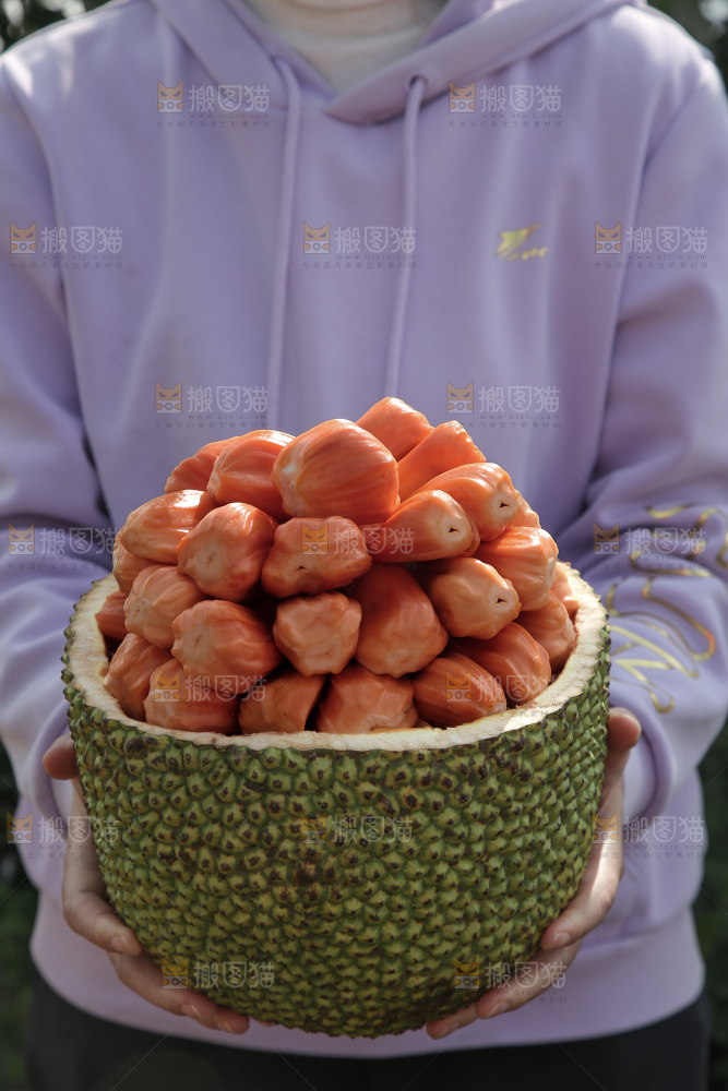 印尼红肉菠萝蜜