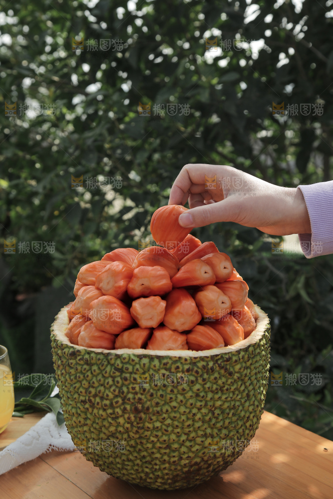 印尼红肉菠萝蜜