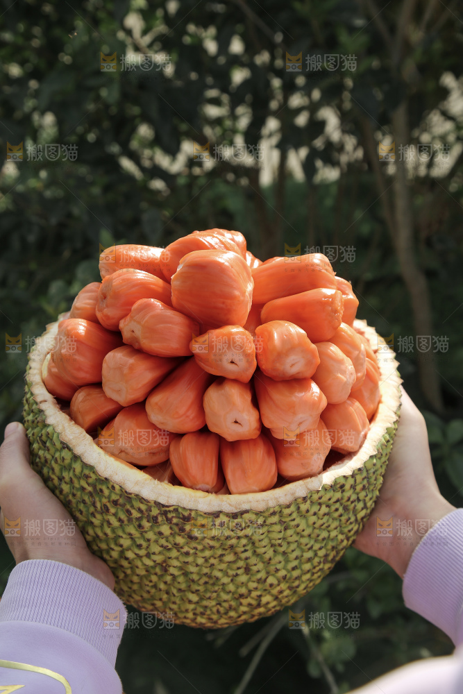 印尼红肉菠萝蜜