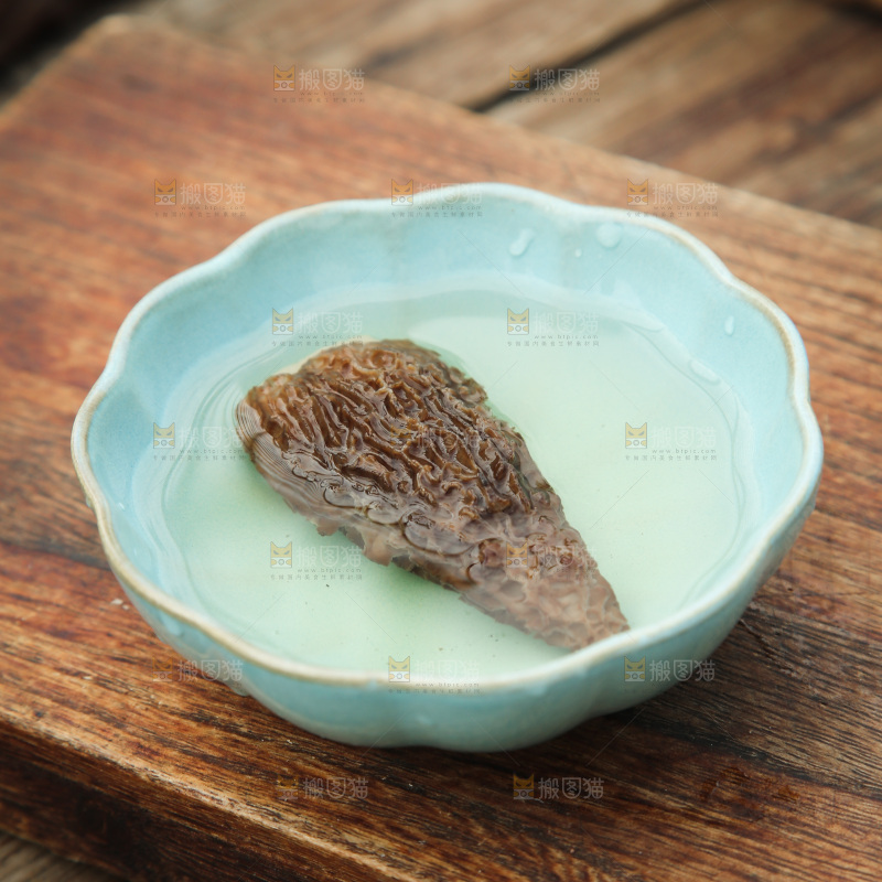 羊肚菌