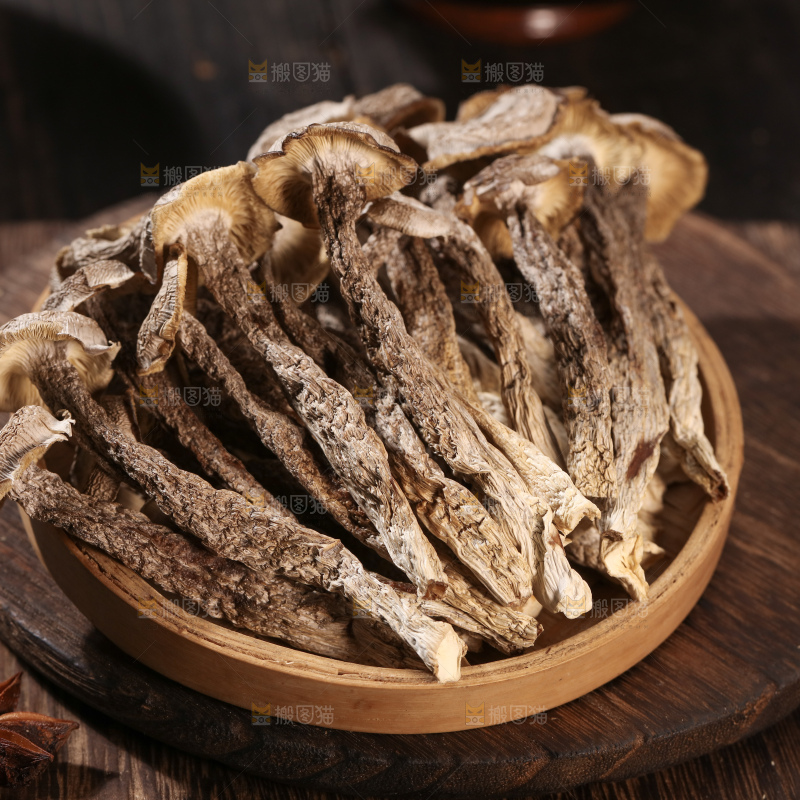 鹿茸菇