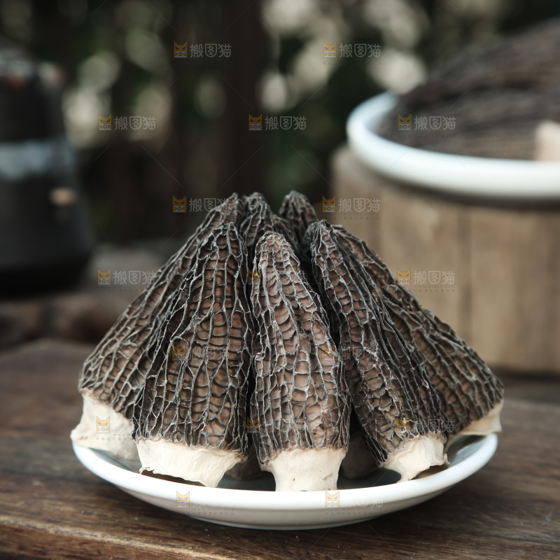 羊肚菌