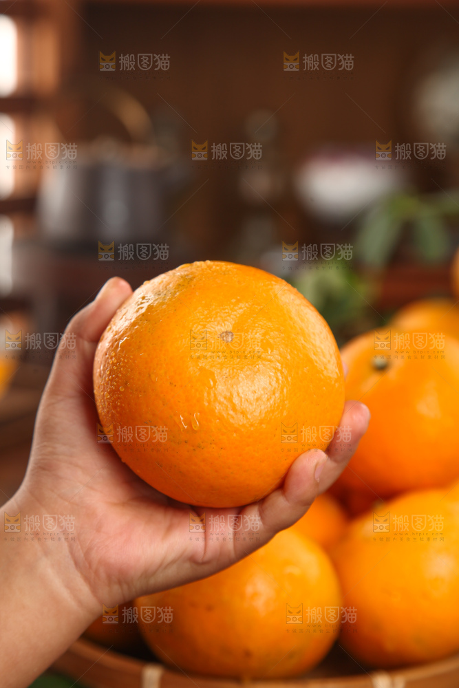 武鸣沃柑