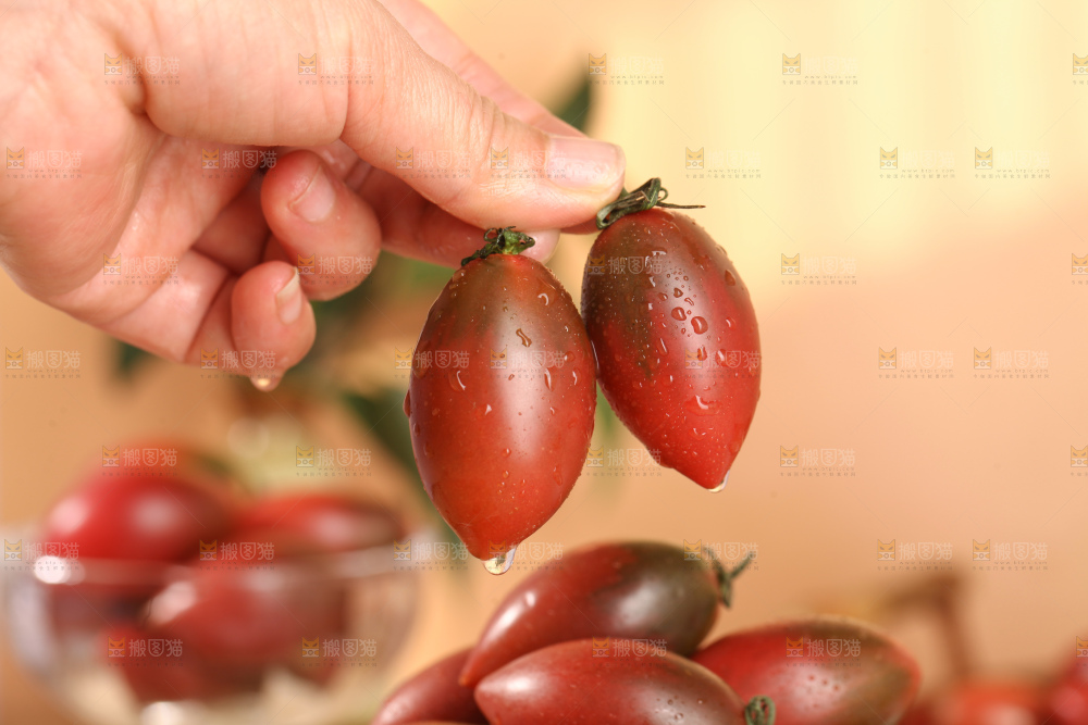 紫弹头小番茄
