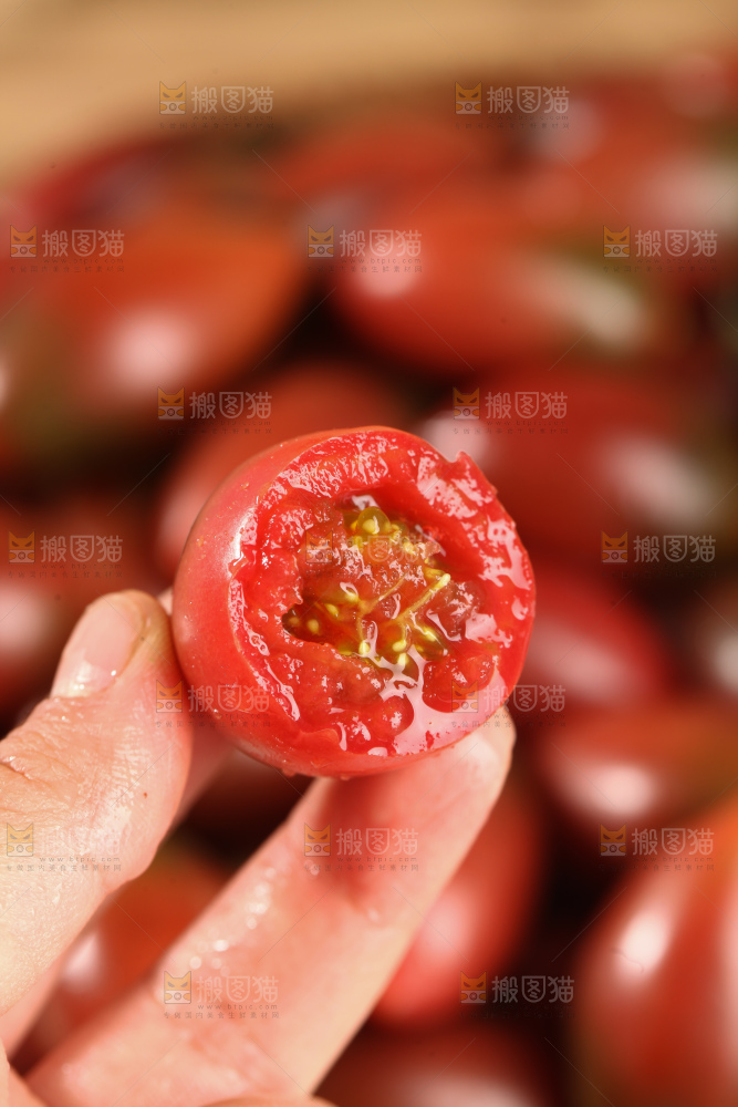 紫弹头小番茄