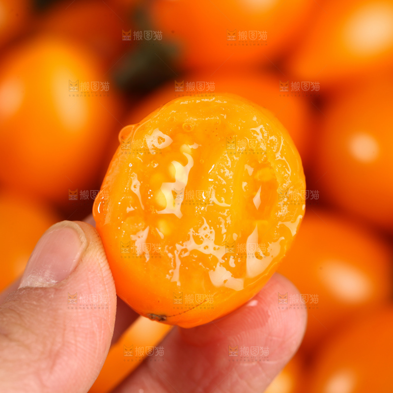 黄金圣女果