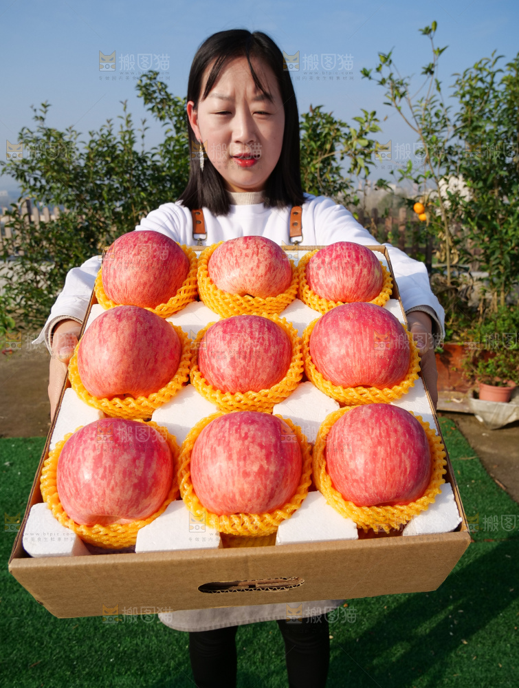 洛川苹果