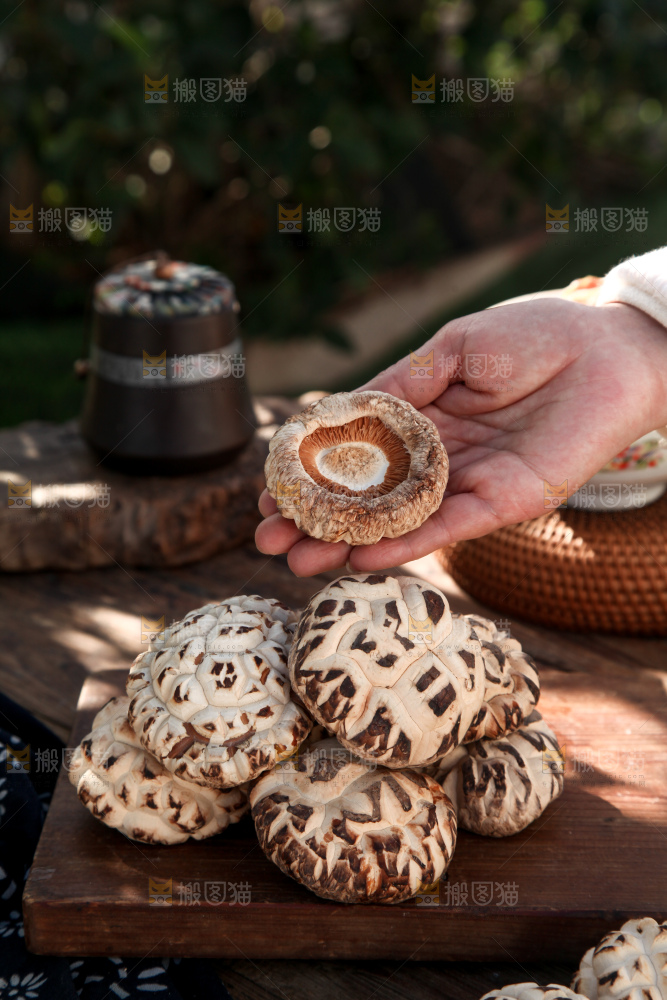 花菇