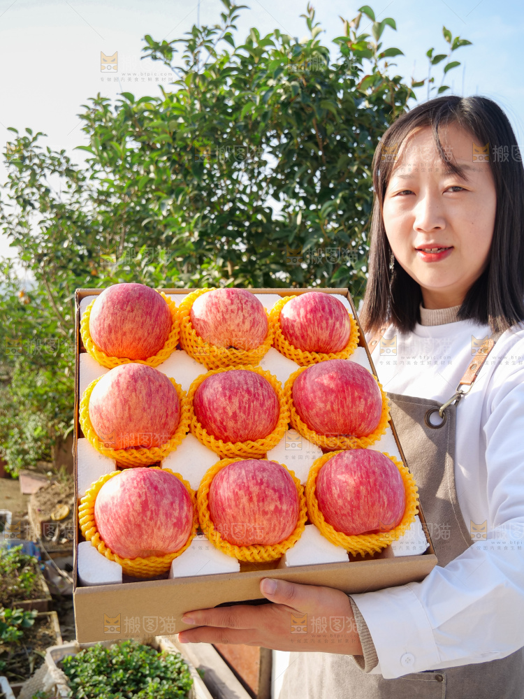 洛川苹果