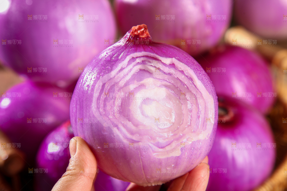 洋葱