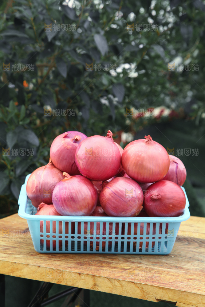 洋葱