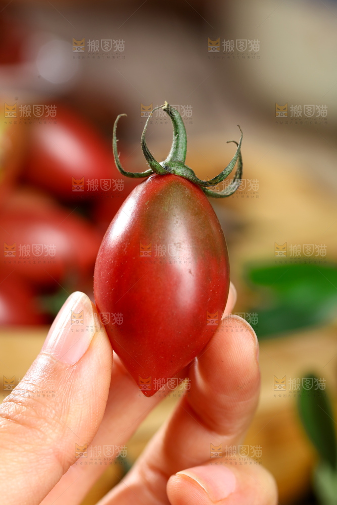 紫弹头小番茄