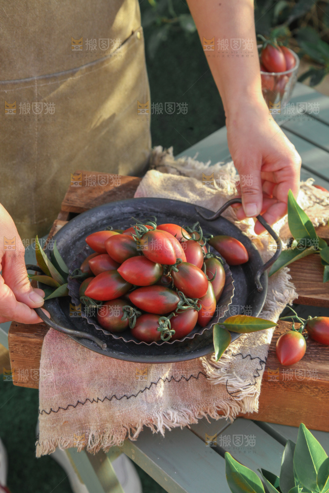 紫弹头小番茄