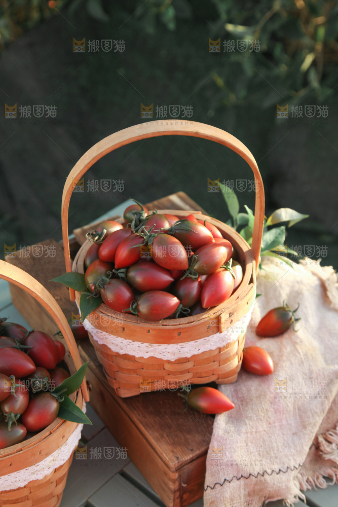 紫弹头小番茄