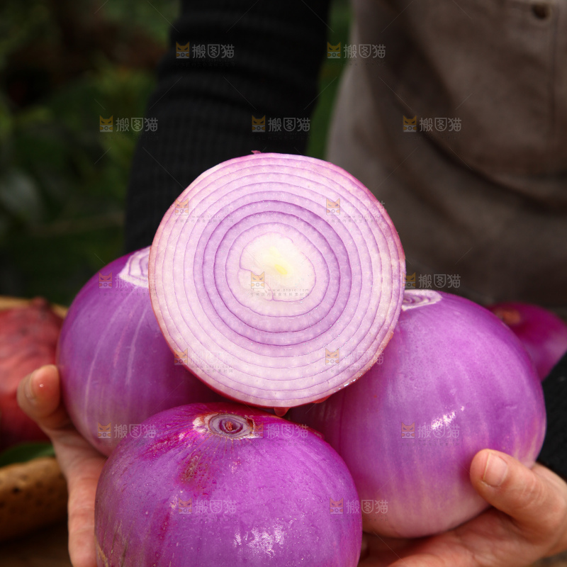 洋葱