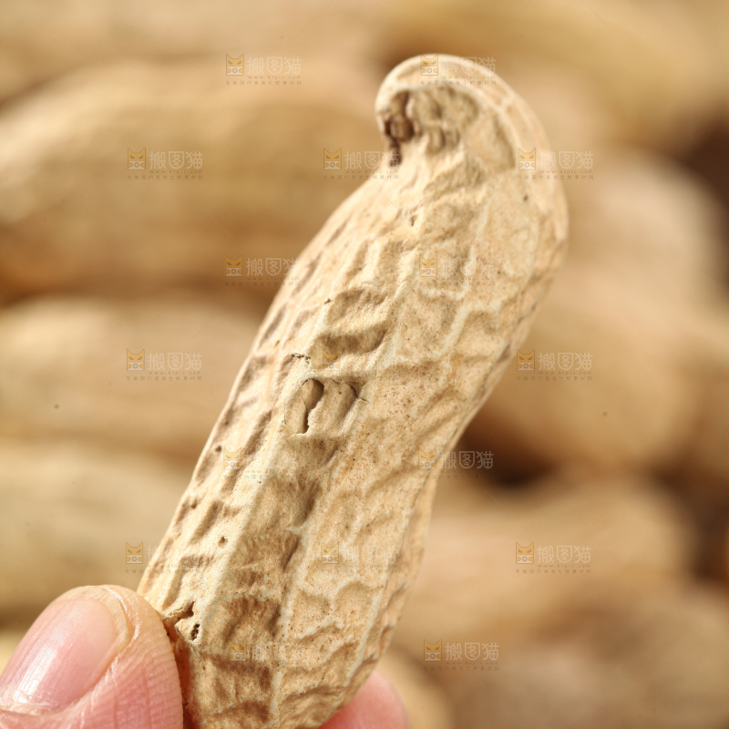 黑皮花生