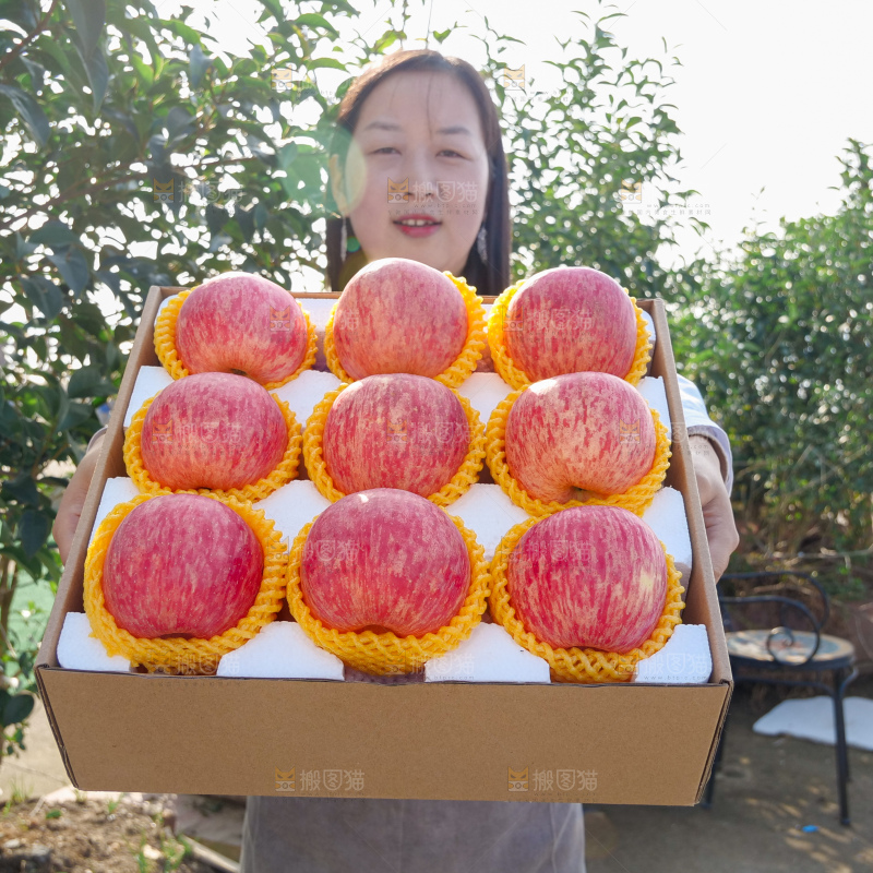 洛川苹果