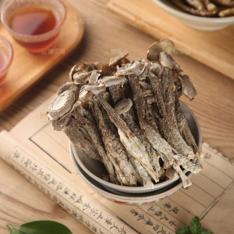鹿茸菇