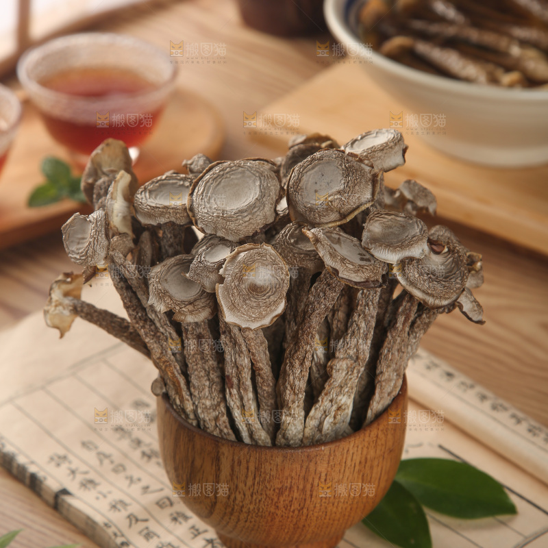 鹿茸菇