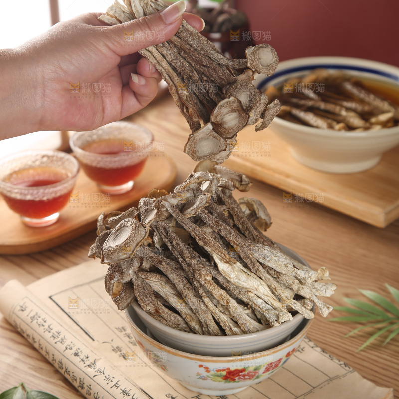 鹿茸菇