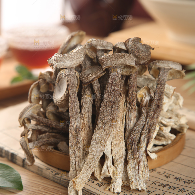 鹿茸菇