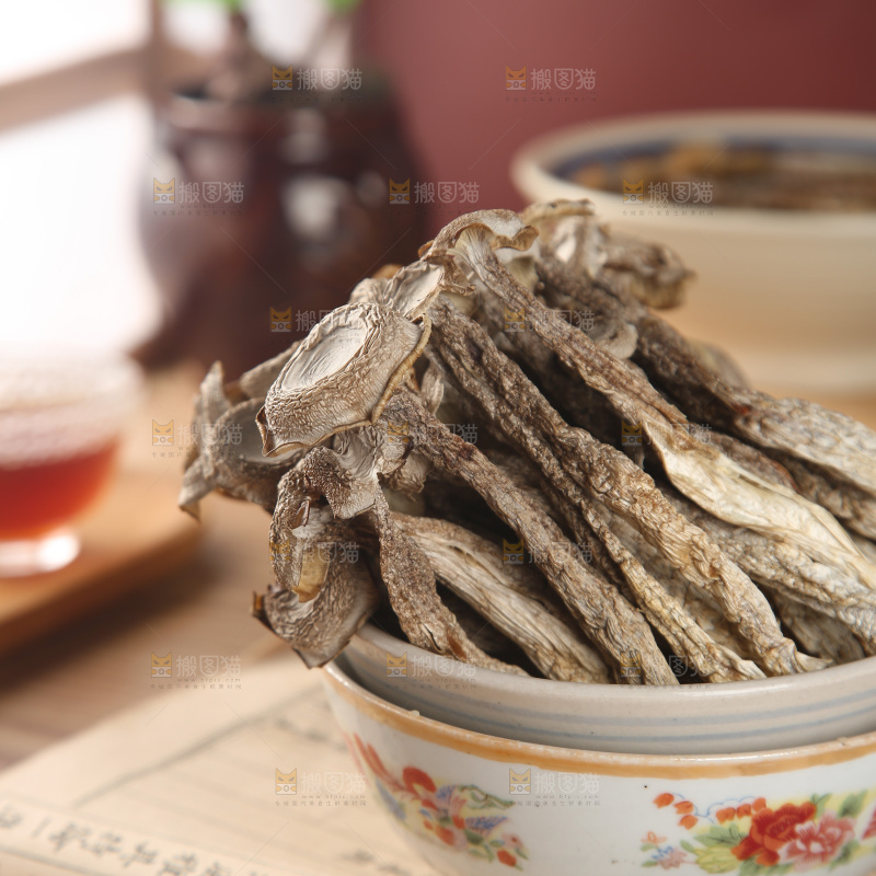 鹿茸菇