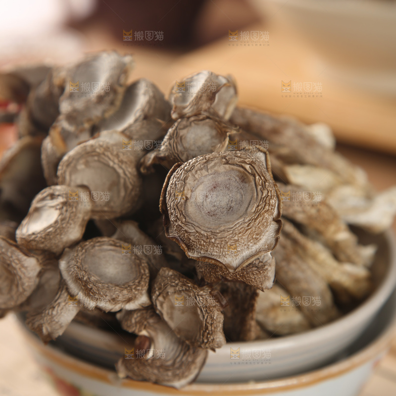 鹿茸菇