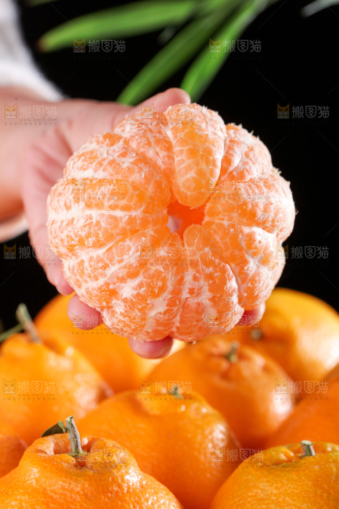春见耙耙柑