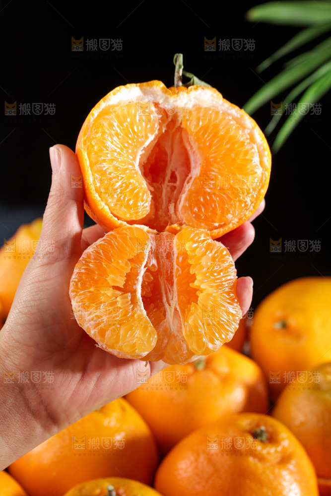 春见耙耙柑