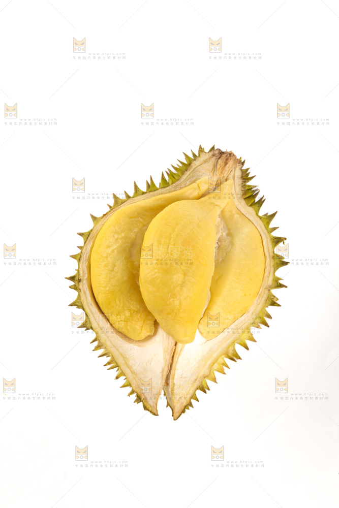 巴掌榴莲