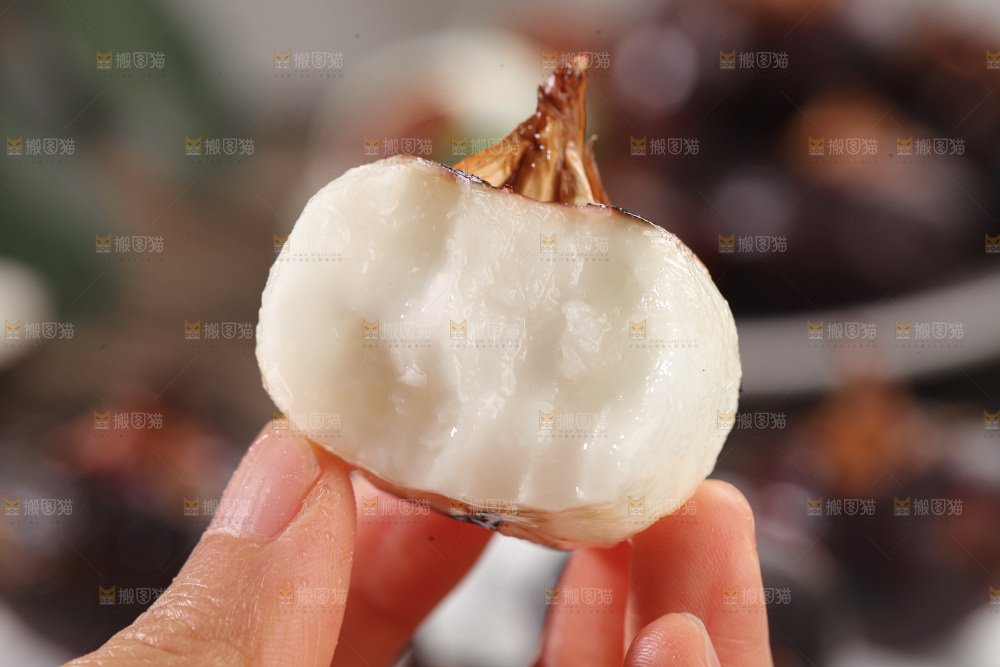 马蹄