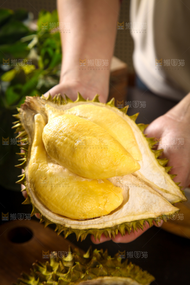 巴掌榴莲