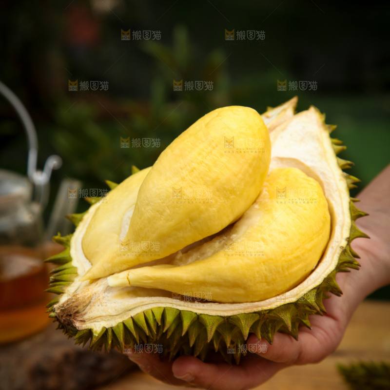 巴掌榴莲