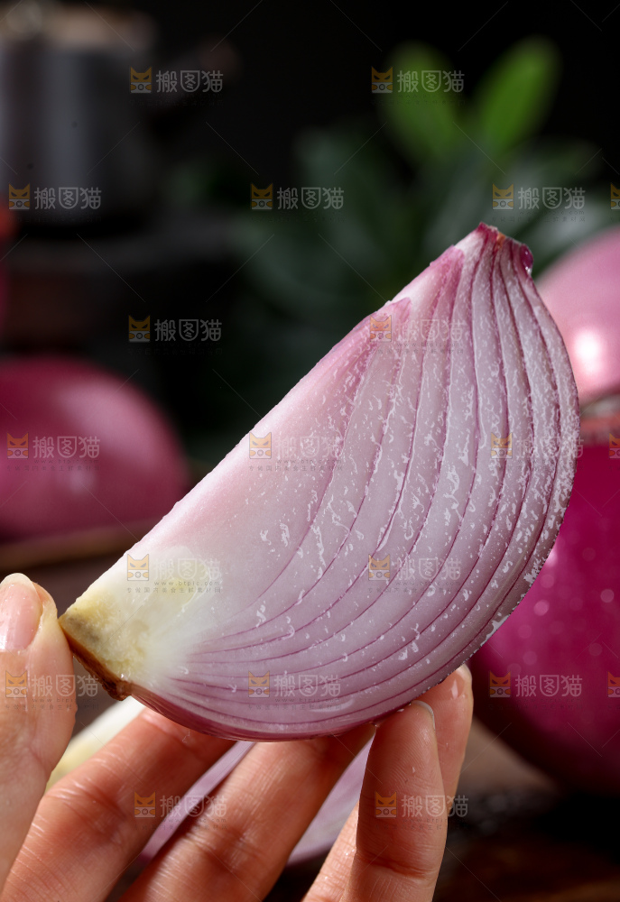 洋葱