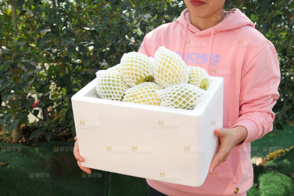 奶油芭乐