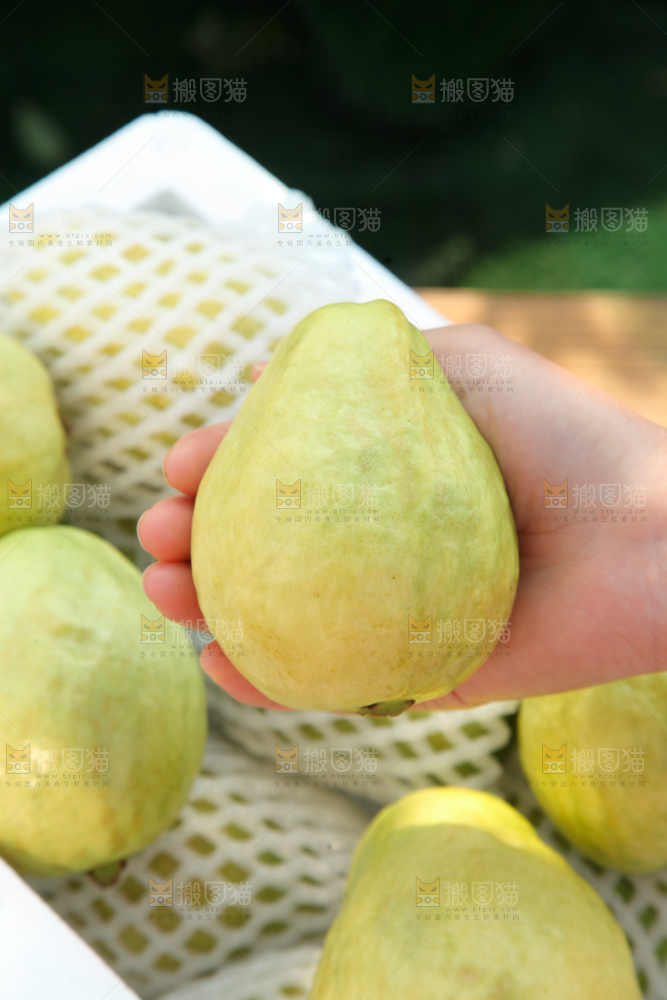奶油芭乐