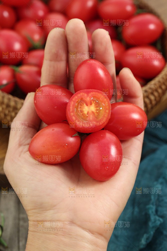 圣女果