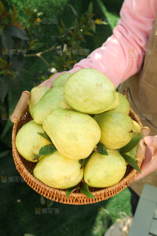 奶油芭乐