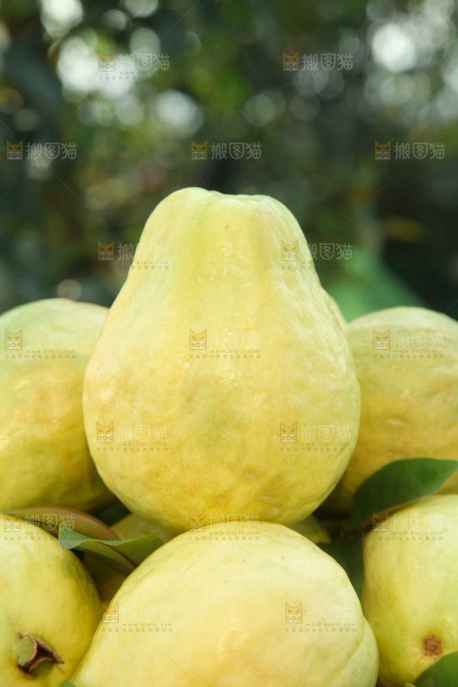 奶油芭乐
