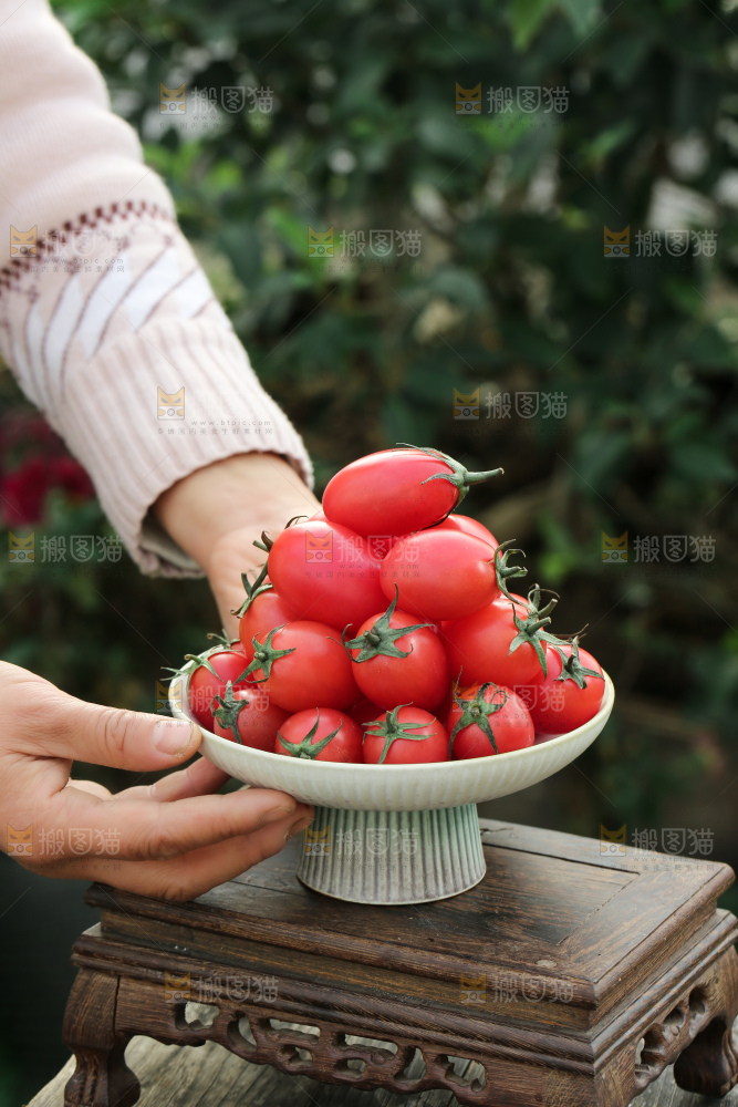 圣女果