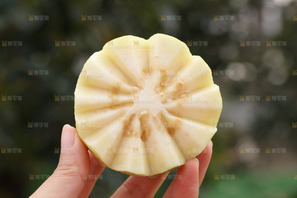 奶油芭乐