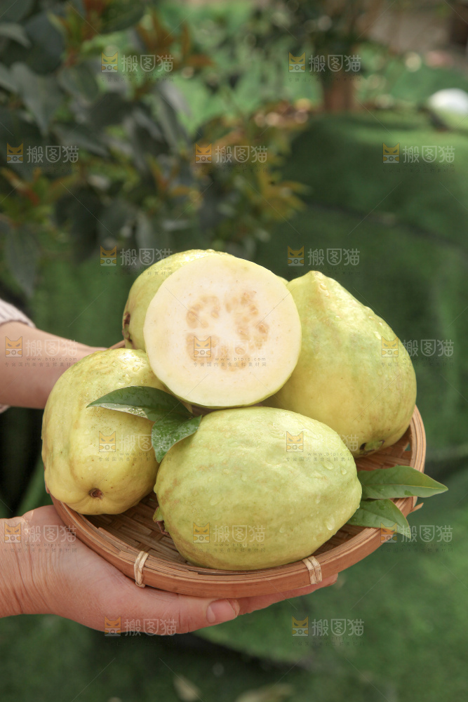 奶油芭乐